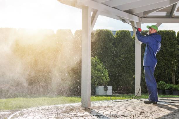 Best Fence Cleaning and Maintenance in Brazoria, TX