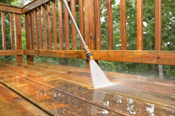 Best Vinyl Siding Pressure Washing in Brazoria, TX