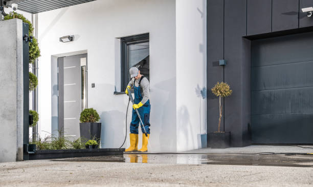 Best Graffiti Removal Services in Brazoria, TX
